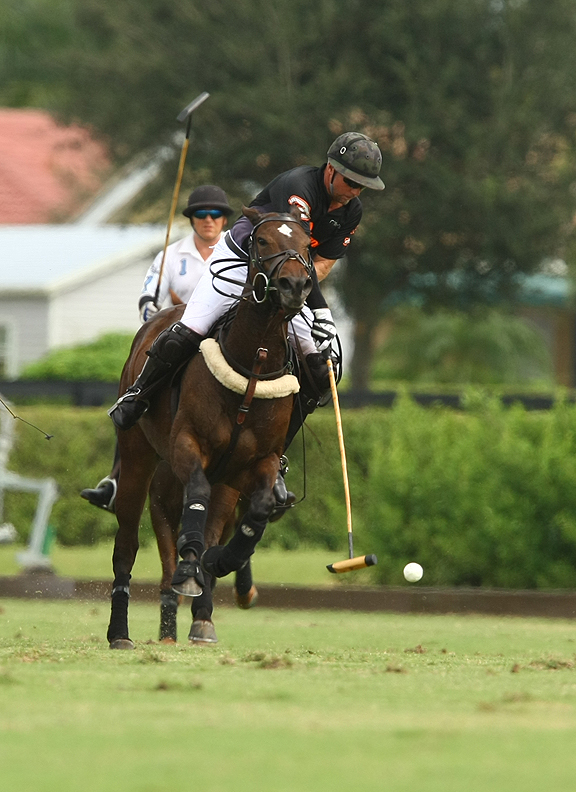 alexpachecopolomagazinethepolousapolocuppoloplayerpoloteamphotos 1