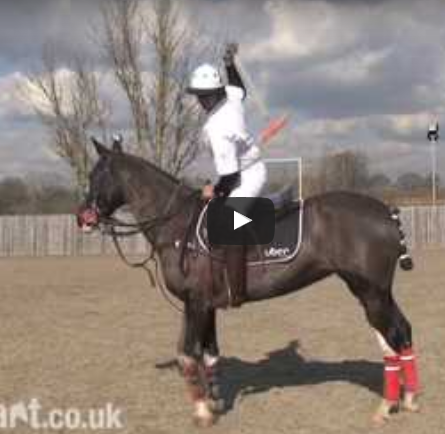 horsemart