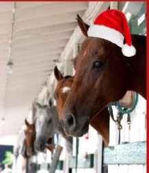 hpcxmas